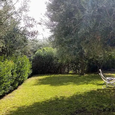 Degli Ulivi Messina